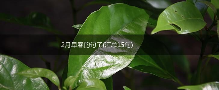 2月早春的句子(汇总15句),第1张