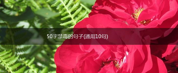 50字禁毒的句子(通用10句),第1张