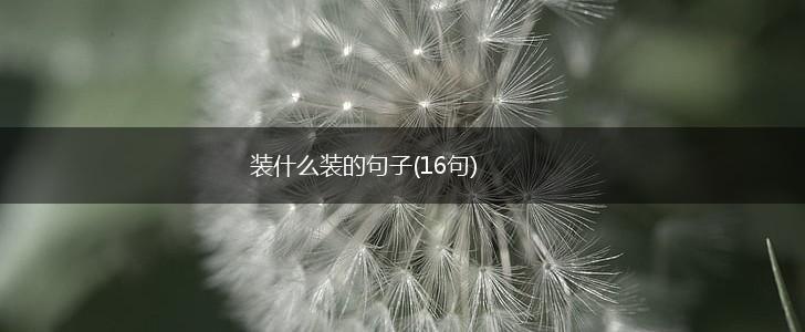 装什么装的句子(16句),第1张