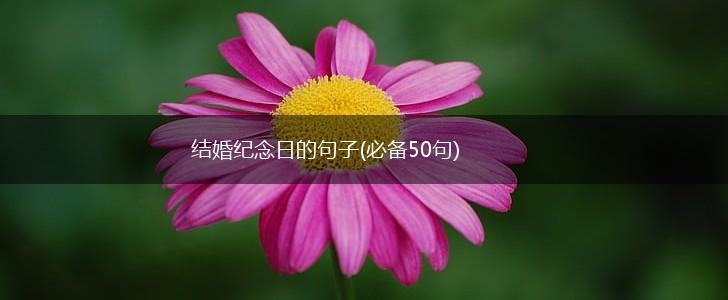 结婚纪念日的句子(必备50句),第1张