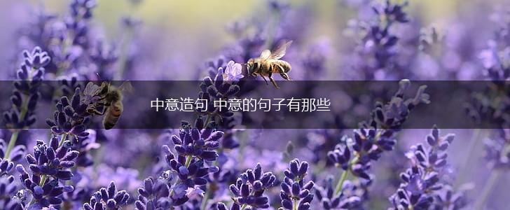中意造句 中意的句子有那些,第1张