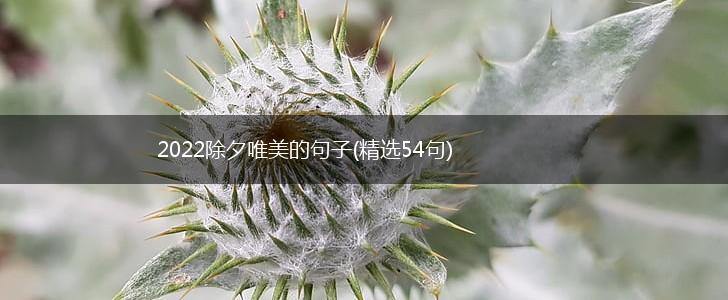 2022除夕唯美的句子(精选54句),第1张