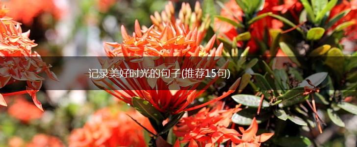 记录美好时光的句子(推荐15句),第1张