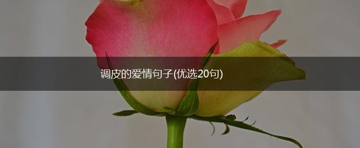 调皮的爱情句子(优选20句),第1张