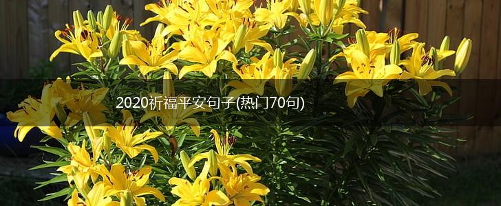 2020祈福平安句子(热门70句),第1张