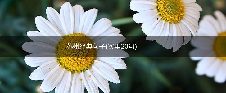 苏州经典句子(实用20句),第1张