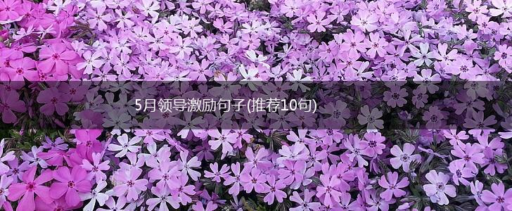 5月领导激励句子(推荐10句),第1张
