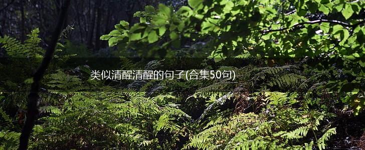 类似清醒清醒的句子(合集50句),第1张