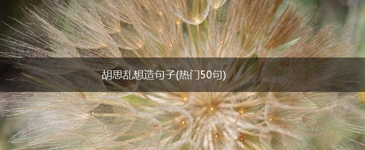 胡思乱想造句子(热门50句),第1张