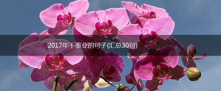 2017年干事业的句子(汇总30句),第1张