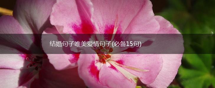 结婚句子唯美爱情句子(必备15句),第1张