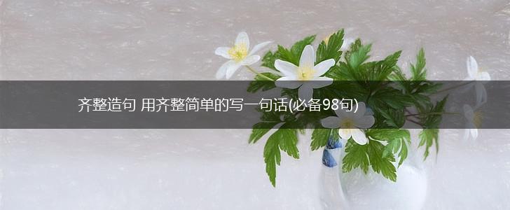 齐整造句 用齐整简单的写一句话(必备98句),第1张