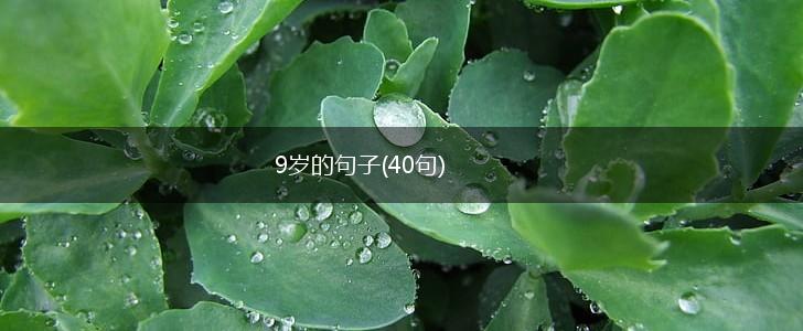 9岁的句子(40句),第1张