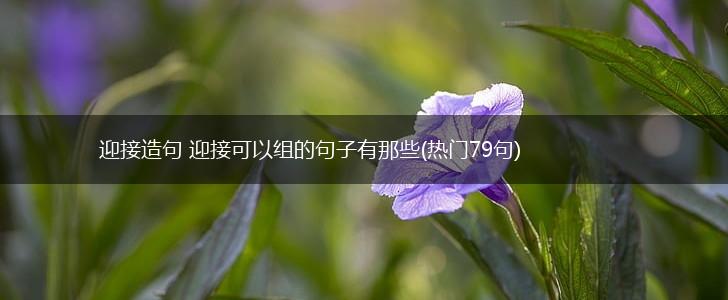 迎接造句 迎接可以组的句子有那些(热门79句),第1张