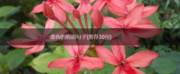 虚伪的假面句子(推荐30句),第1张