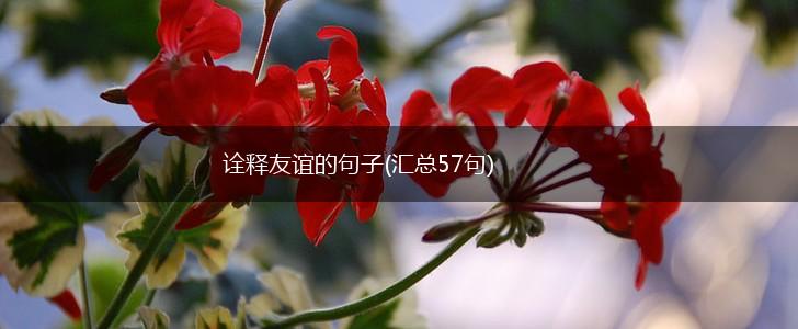 诠释友谊的句子(汇总57句),第1张
