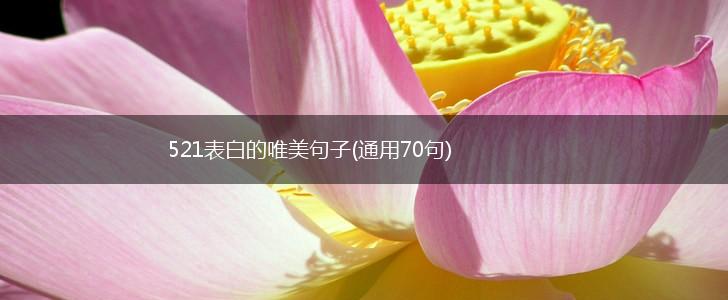 521表白的唯美句子(通用70句),第1张