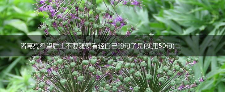 诸葛亮希望后主不要随便看轻自己的句子是(实用50句),第1张