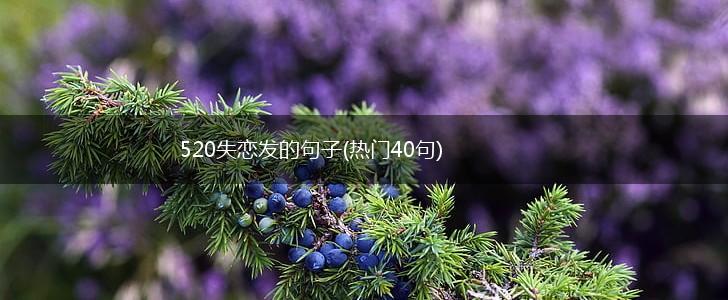 520失恋发的句子(热门40句),第1张