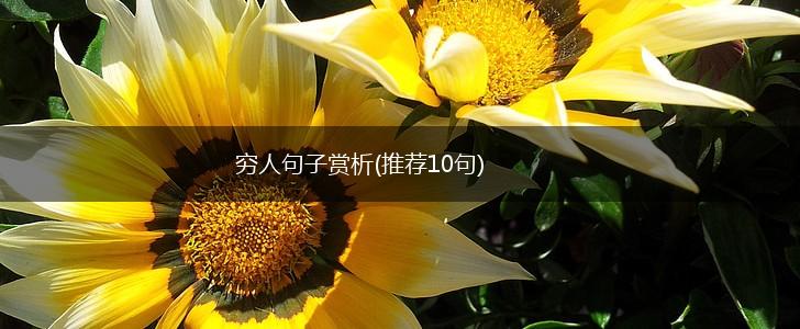 穷人句子赏析(推荐10句),第1张