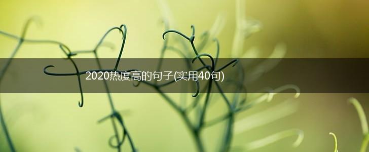 2020热度高的句子(实用40句),第1张