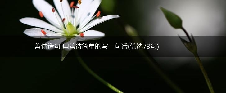 善待造句 用善待简单的写一句话(优选73句),第1张