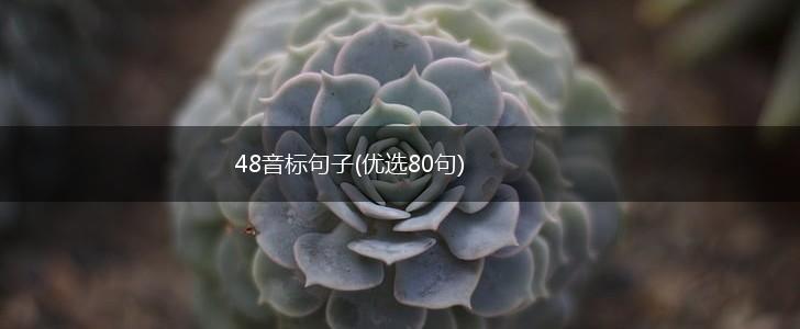 48音标句子(优选80句),第1张