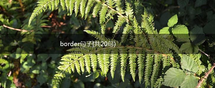 border句子(共20句),第1张