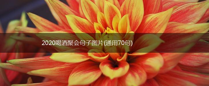 2020喝酒聚会句子图片(通用70句),第1张