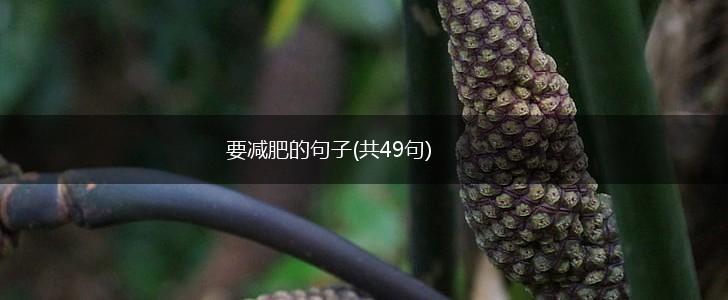 要减肥的句子(共49句),第1张