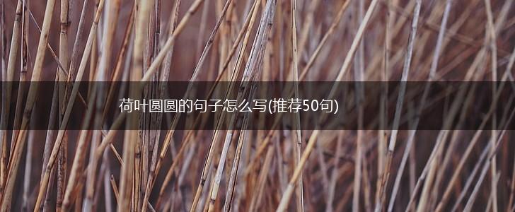 荷叶圆圆的句子怎么写(推荐50句),第1张