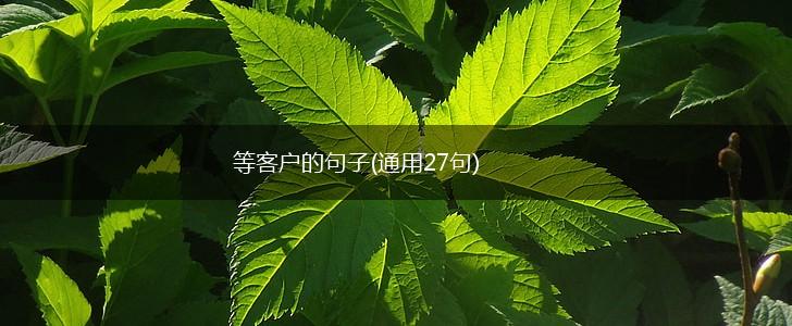 等客户的句子(通用27句),第1张