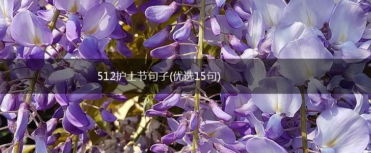 512护士节句子(优选15句),第1张