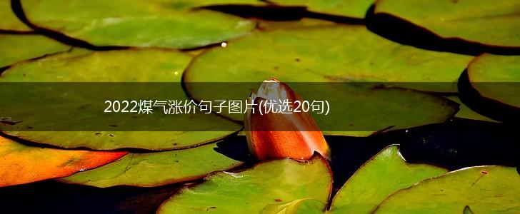 2022煤气涨价句子图片(优选20句),第1张
