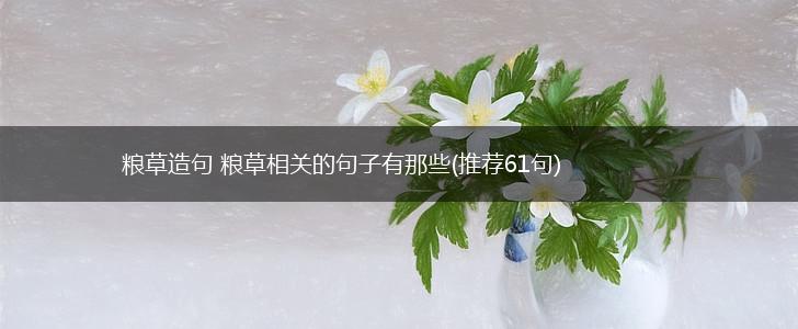 粮草造句 粮草相关的句子有那些(推荐61句),第1张