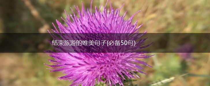 结束旅游的唯美句子(必备50句),第1张