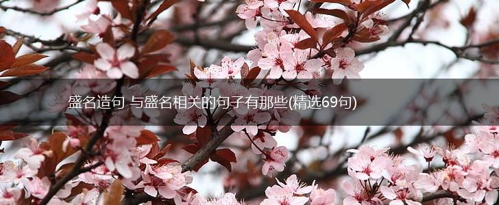 盛名造句 与盛名相关的句子有那些(精选69句),第1张