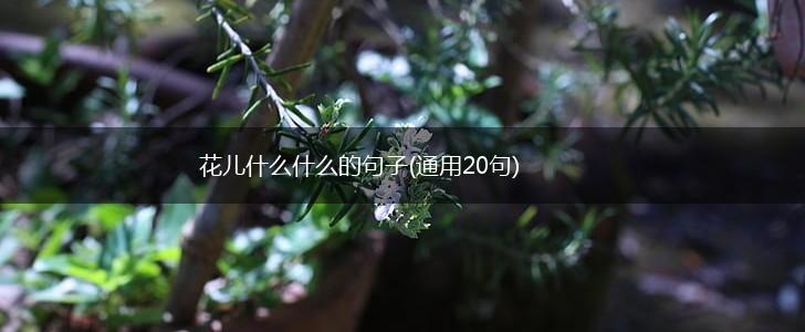 花儿什么什么的句子(通用20句),第1张