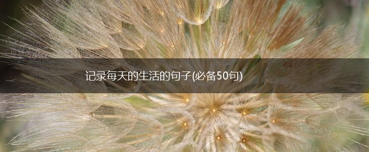 记录每天的生活的句子(必备50句),第1张