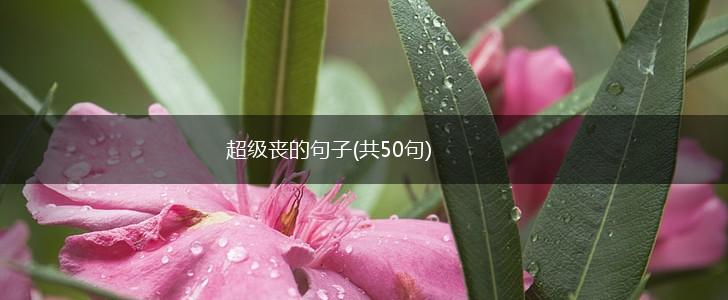 超级丧的句子(共50句),第1张