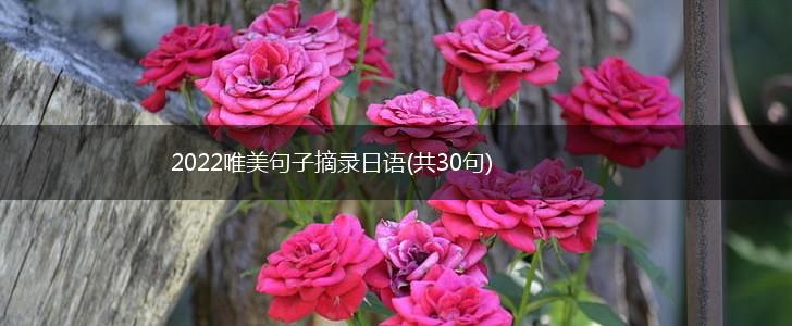 2022唯美句子摘录日语(共30句),第1张