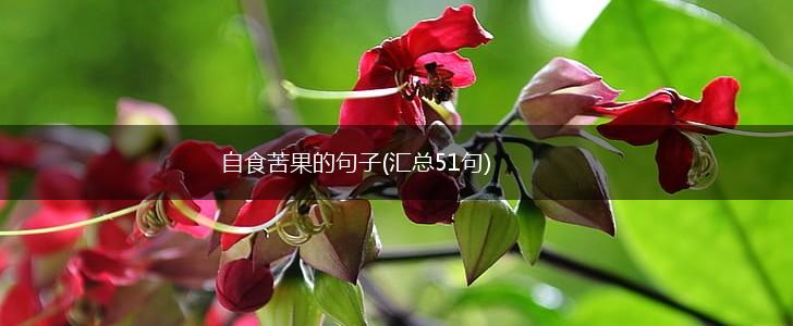 自食苦果的句子(汇总51句),第1张