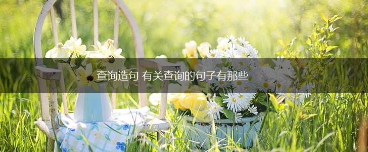 查询造句 有关查询的句子有那些,第1张