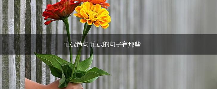 忙碌造句 忙碌的句子有那些,第1张