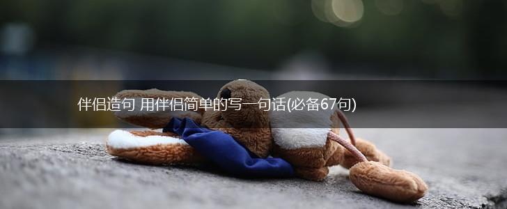伴侣造句 用伴侣简单的写一句话(必备67句),第1张