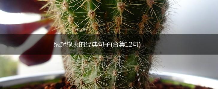 缘起缘灭的经典句子(合集12句),第1张
