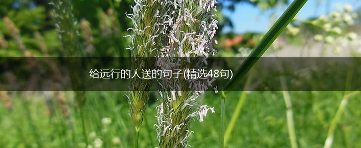 给远行的人送的句子(精选48句),第1张