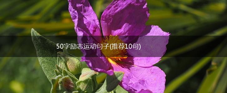 50字励志运动句子(推荐10句),第1张