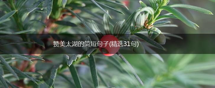 赞美太湖的简短句子(精选31句),第1张