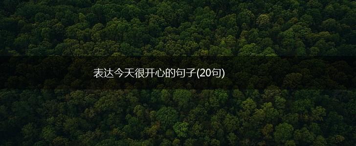 表达今天很开心的句子(20句),第1张